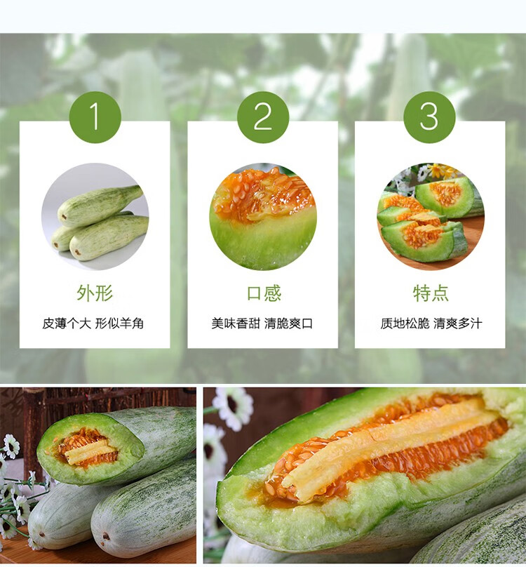 贝壳田园甜瓜羊角脆博洋61甜瓜香瓜蜜瓜 羊角蜜 带箱 羊角蜜2250g装