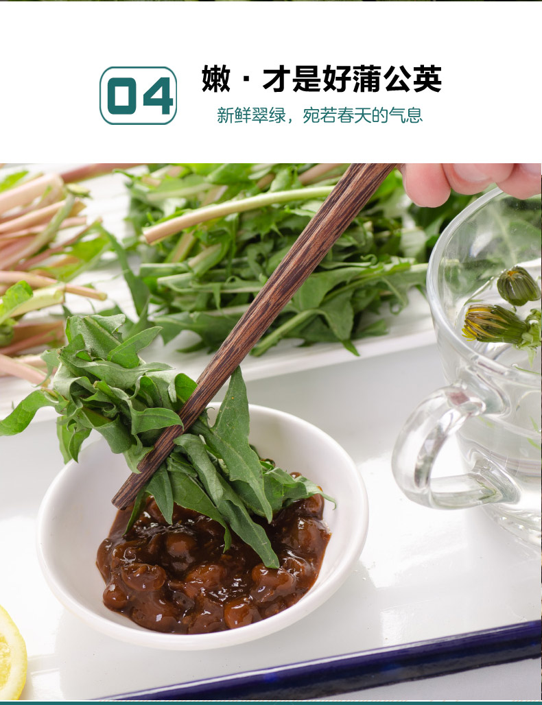野生现挖蒲公英新鲜35斤整根鲜野菜当季苦菜嫩叶婆婆丁500g