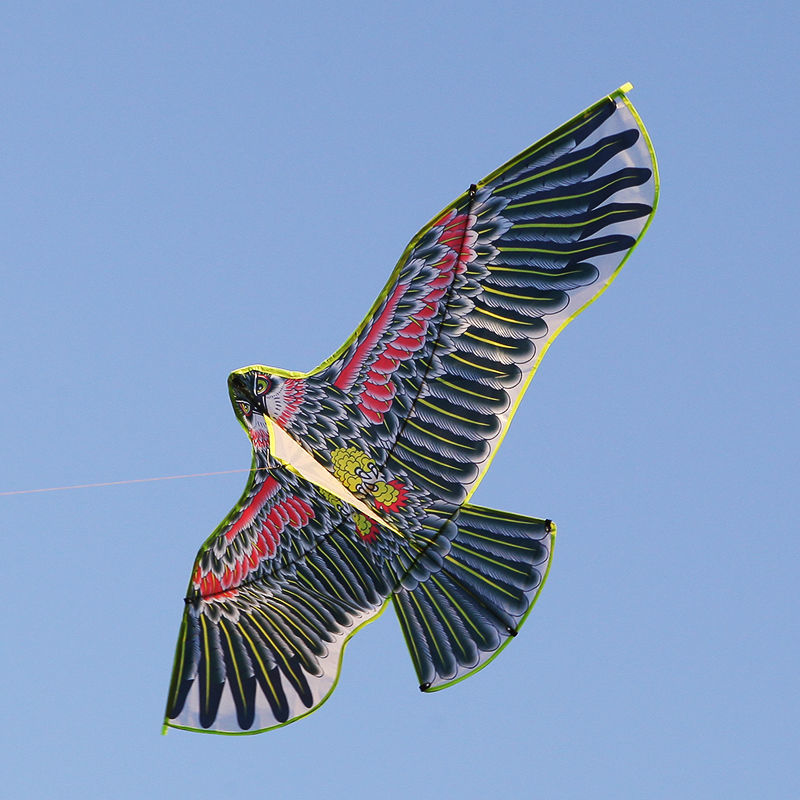 风筝大型高档潍坊风筝吓鸟风筝新款老鹰大烫金立体潍坊儿童三角微风