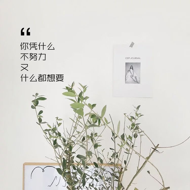 现货直发志ins风文字墙贴你凭什么不努力办公室卧室教室寝室墙鼓励
