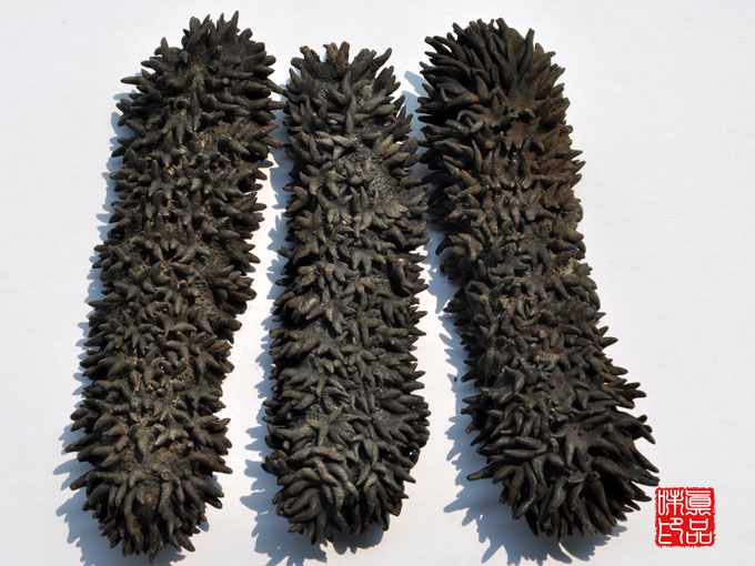 年货节澳洲梅花参进口淡干海参野生海参干货冷水深海刺参食用水产500