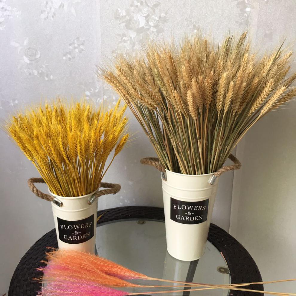 迎新必备天然麦穗干花花束开业大麦客厅田园装饰摆件瓶插花真花干艺术