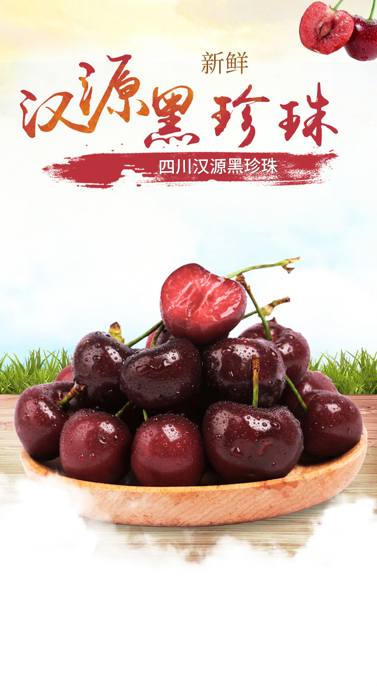 四川樱桃汉源套袋黑珍珠大樱桃新鲜汶川车厘子孕妇水果团建送礼生鲜