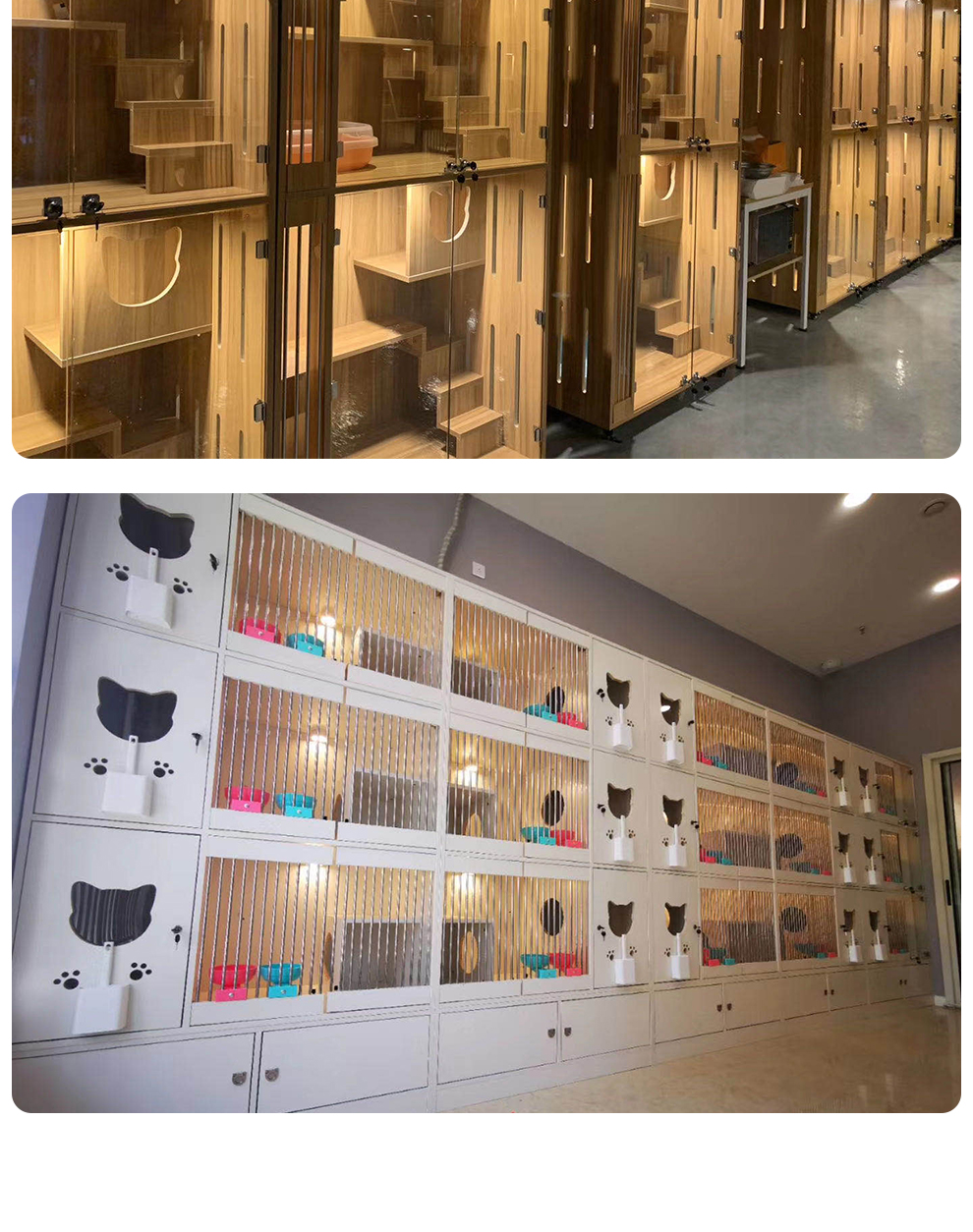 定制豪华猫笼子实木多层板小猫柜别墅猫舍玻璃宠物店展示柜猫产房d116