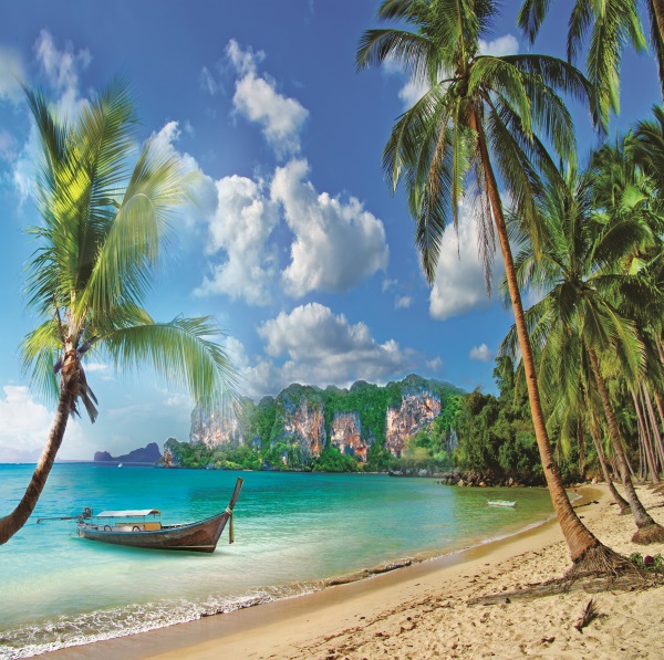 极惠家 大海背景布 大海沙滩蓝天白云海边椰树风景主播拍视频段子直播