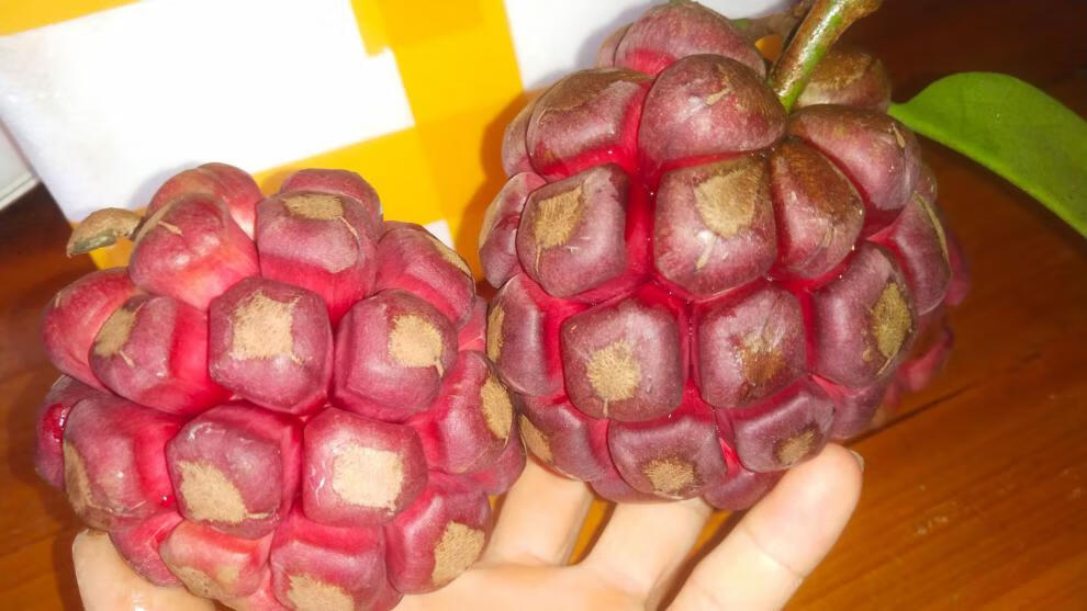 玫栀 黑老虎布福娜果恶魔果实新鲜稀奇古怪的水果罕见稀有当季稀奇