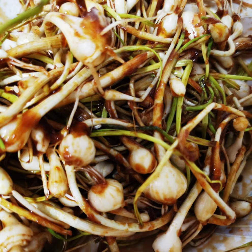 晨臻 东北特产小根蒜山野菜大脑瓜小头蒜蘸酱菜500g 1500g【图片 价格