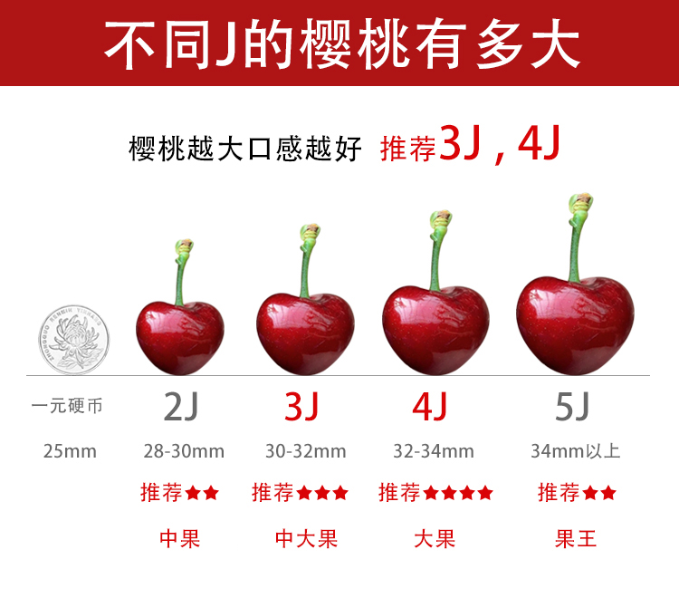顺丰直达大连美早樱桃现摘国产车厘子水果新鲜5斤大樱桃3j4j5特等jj