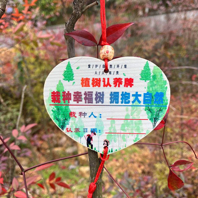 10个的价格植树节挂牌认养牌果树桃树梨树领养牌吊牌实木款logo心形