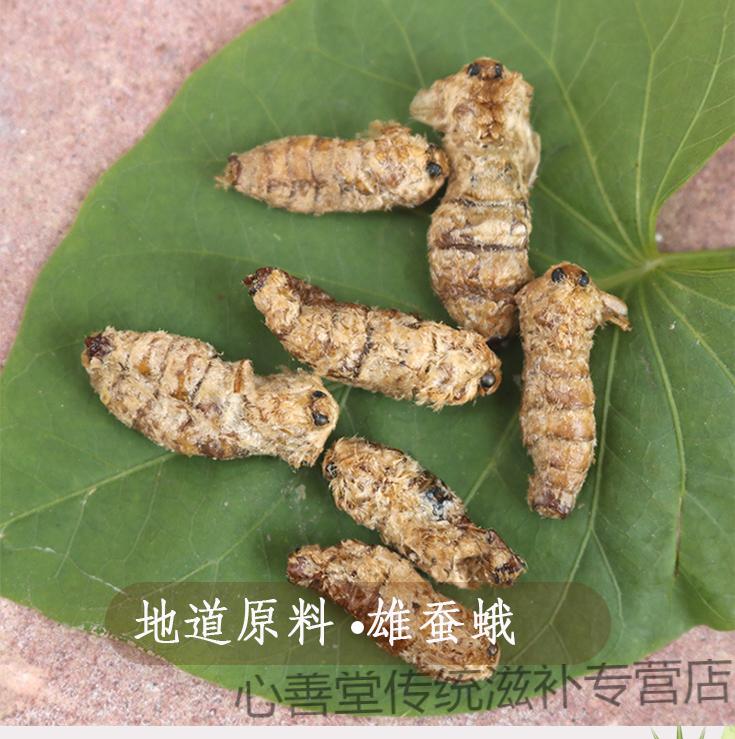 雄蚕蛾滋补男性用晚蛾子未交配雄蚕蛾可泡酒原蚕蛾250克
