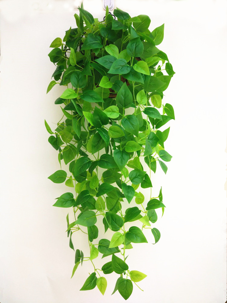 可狄kedi仿真壁挂绿植挂墙假花藤条墙面塑料假叶子吊兰装饰树叶吊篮