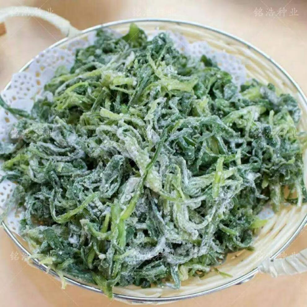 野生面条菜种子无公害四季播春秋冬露地菜园蔬菜野菜籽