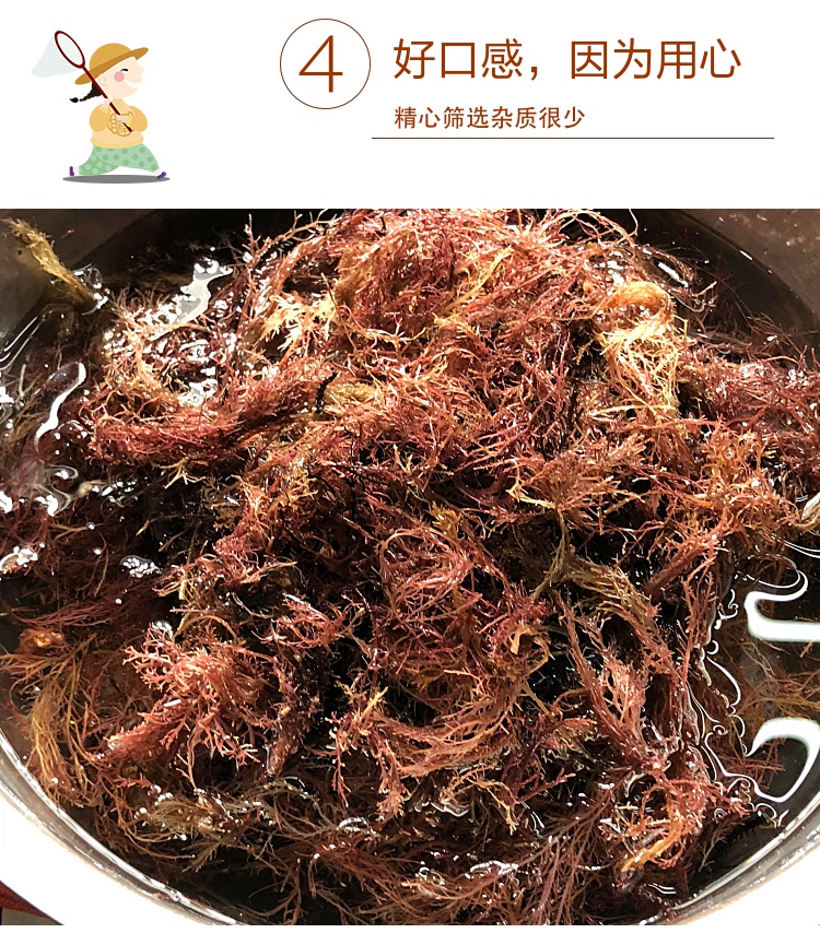 500g青岛特产海冻菜海藻石花菜海凉粉海石花干货石花膏毛菜aa 膏毛菜