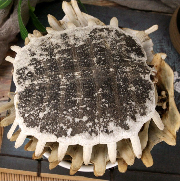 鳖甲中药材鳖甲生鳖甲鳖板甲鱼壳500g250g100g各种规格鳖甲100克