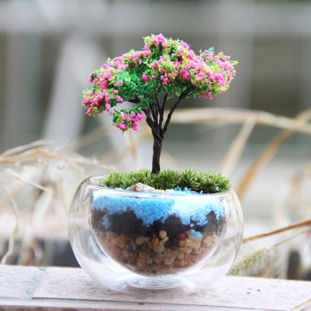 采缇微观苔藓绿植物玻璃微景观组合盆栽生态瓶diy材料包盆景套装夏日