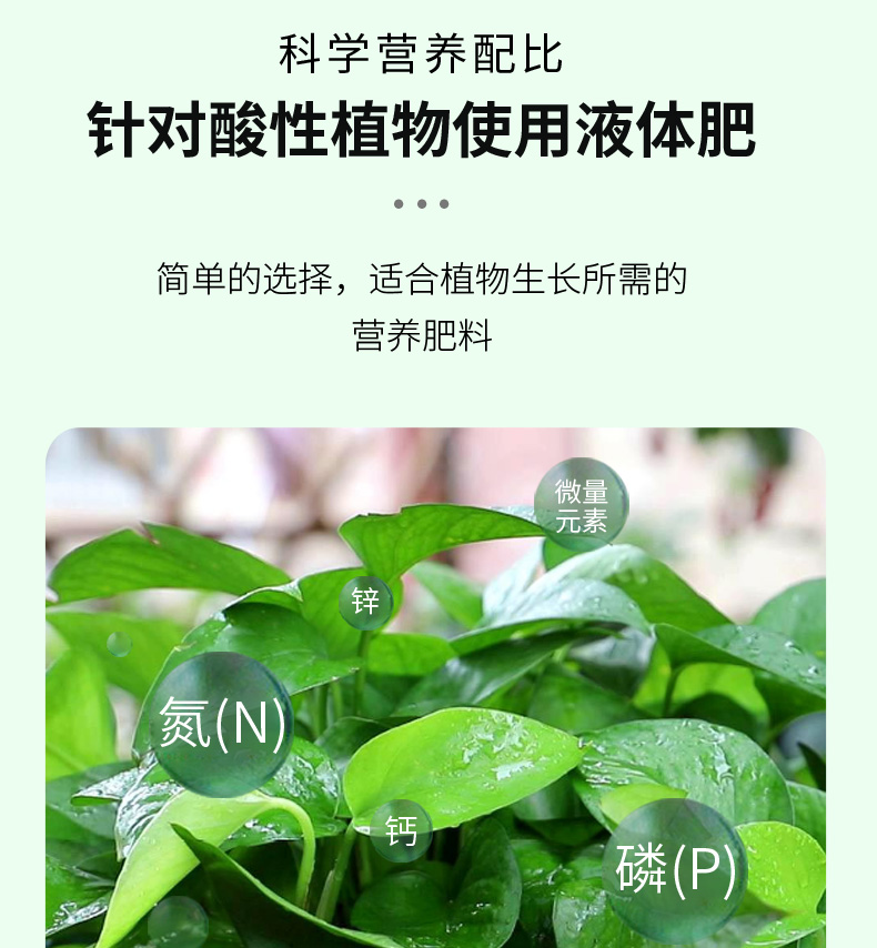 增根壮花营养液营养液各种花的养花营养液植物通用型增根壮花绿植专用