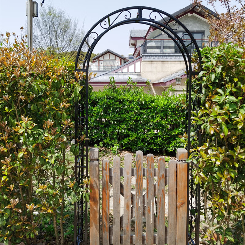 庭院铁艺拱门欧式铁艺拱门带门花架鲜花爬藤拱形铁艺支架别墅庭院拱形