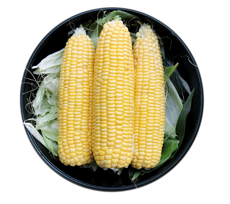 云南黄金水果玉米脆甜爆汁生吃玉米甜苞米甜玉米棒子包谷现摘现发商