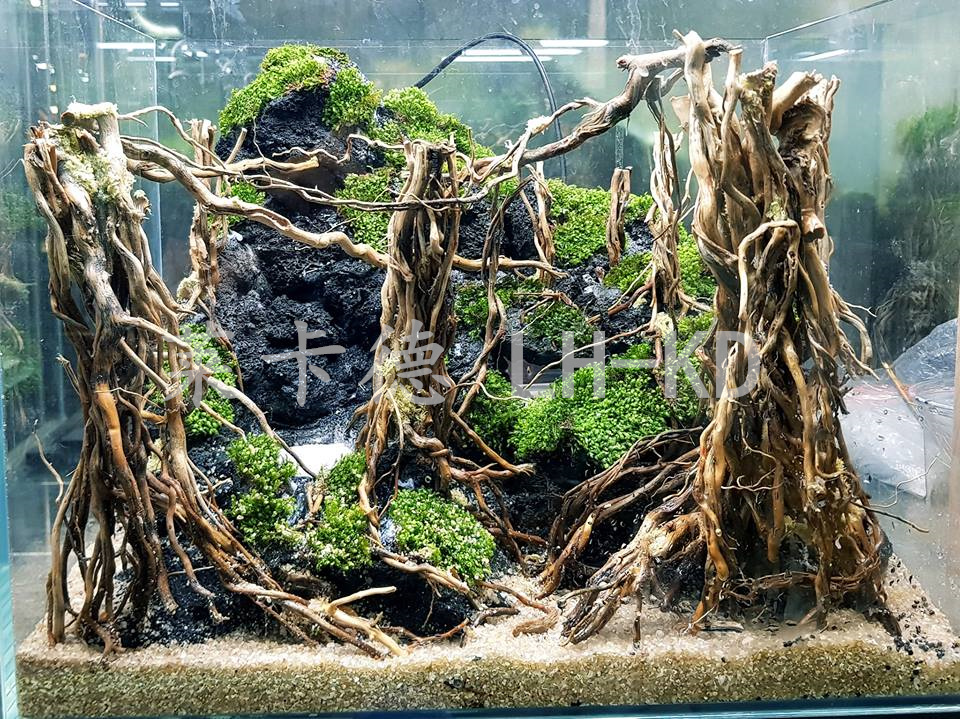 直沉木鱼缸水族箱造景装饰套餐杜鹃根树桩香槟树皮造景石森林 树根1斤