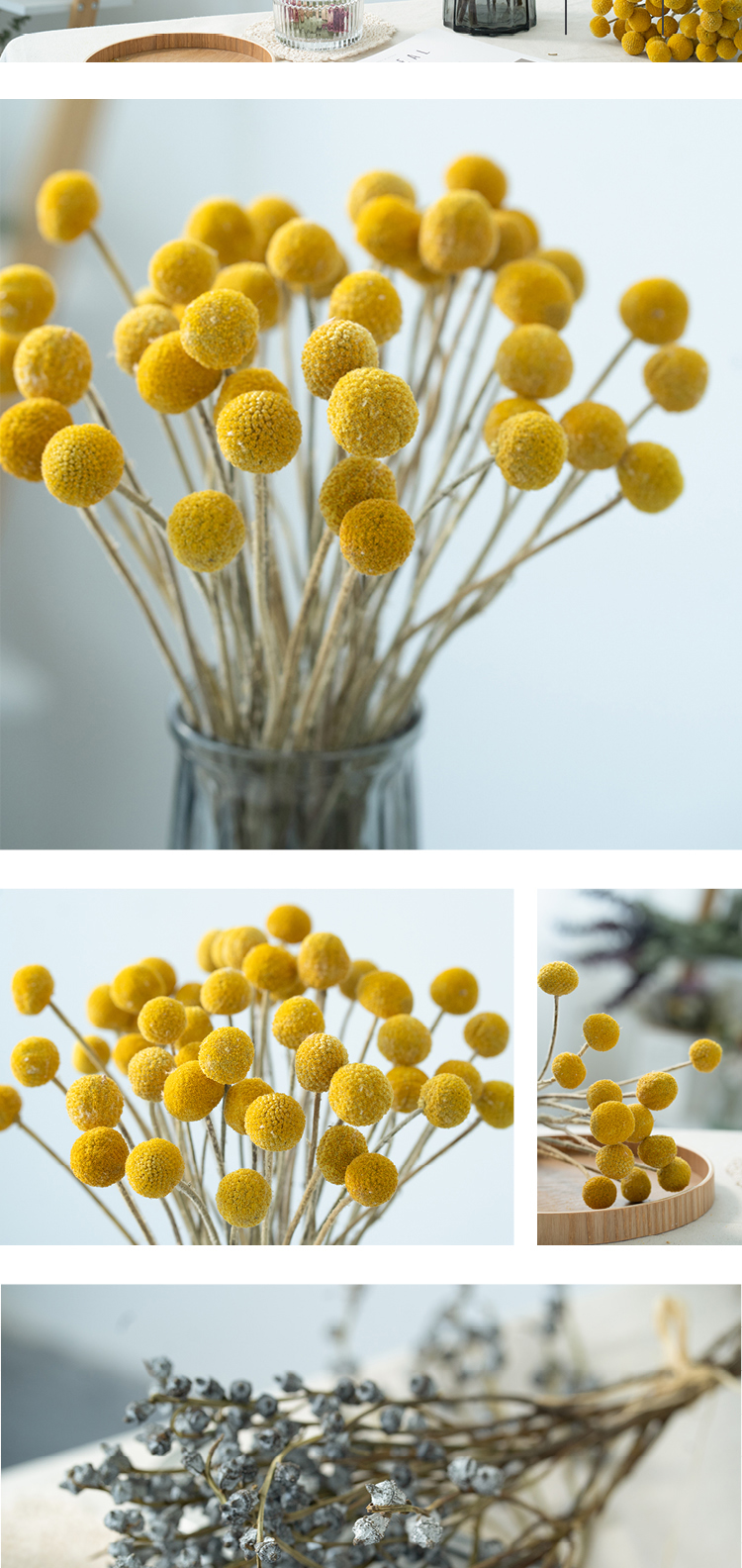 肃音 黄金球干花花束装饰摆件真花永生花干燥尤加利叶北欧简约家居