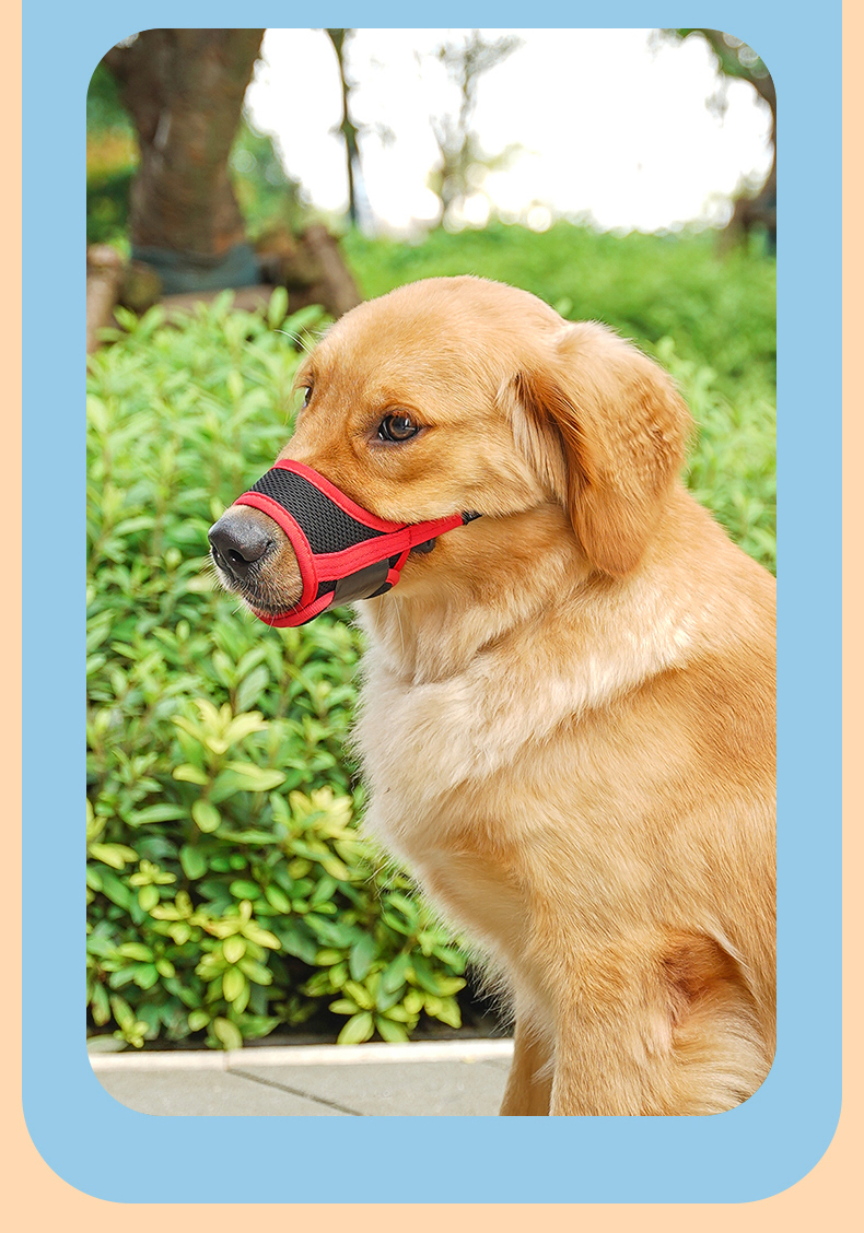 狗嘴套防咬防乱吃防叫止吠器泰迪口罩可喝水小大型犬宠物狗狗用品狗狗