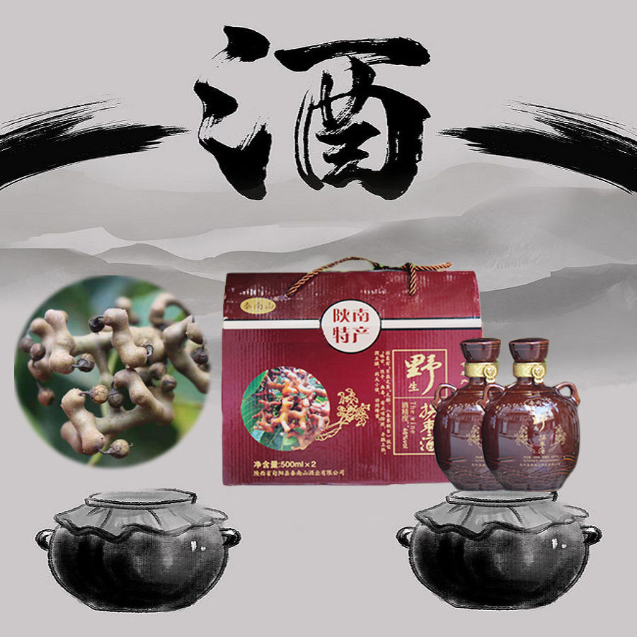 拐枣酒 1盒2瓶1000ml 陕西安康 土特产旬阳秦南山拐枣酒礼盒装 两盒