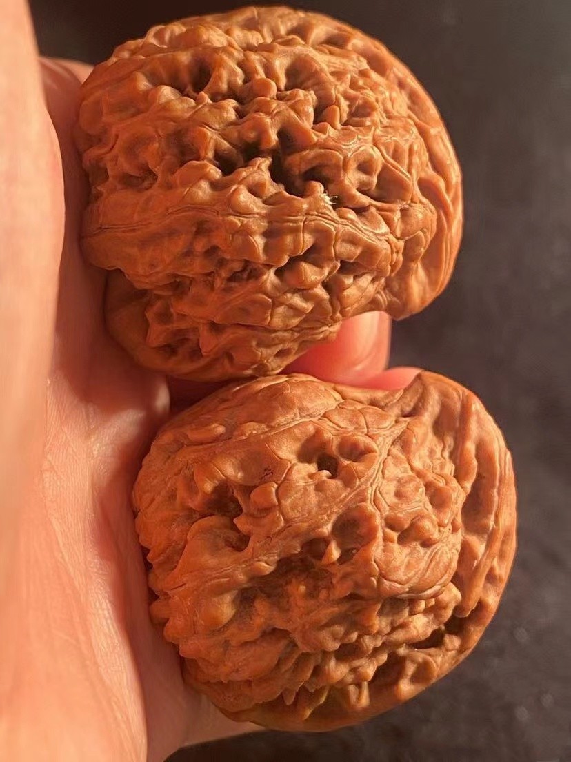 展缘 野生文玩核桃鹰嘴核桃异形核桃收藏级核桃把玩四棱眼镜蛇核桃