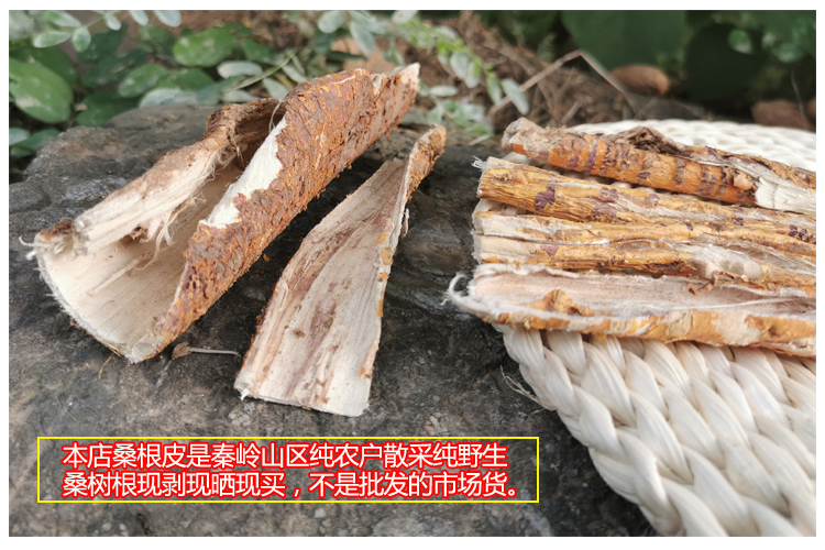 桑白皮500克秦岭野生桑树根皮老桑皮桑树皮桑树皮洗头去屑