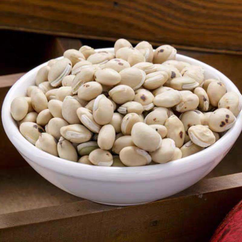 炒白扁豆 中药材炒熟白扁豆炒扁豆 可磨炒白扁豆粉【御华滋补】 1000