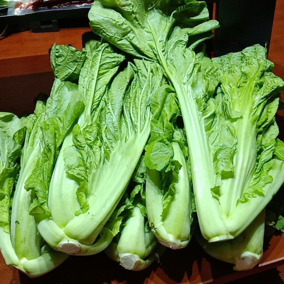 新鲜蔬菜芥菜青菜贵州现摘宽邦大叶青菜苦菜可做酸菜腌菜农家自种带箱