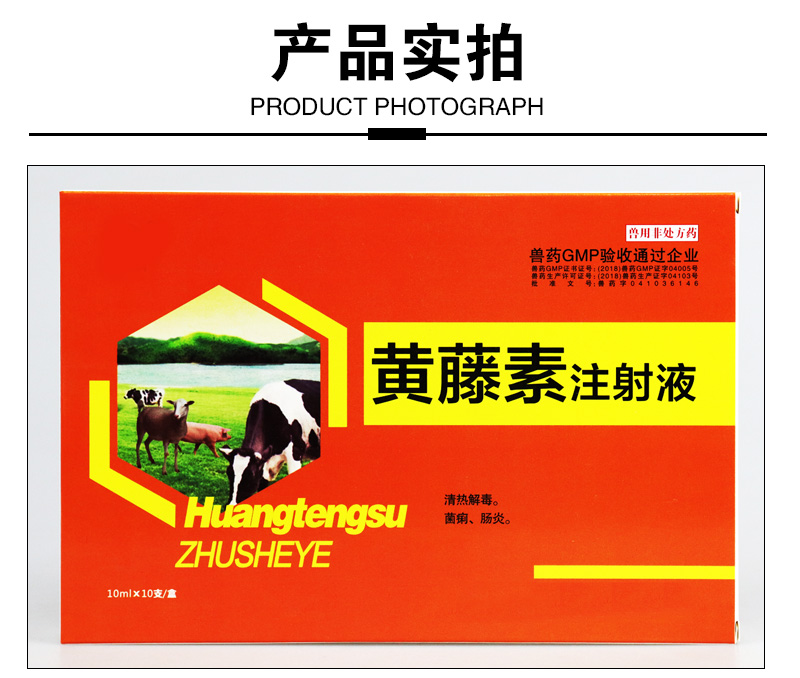 黄藤素注射液兽用兽药仔小猪拉稀药止痢肠猪牛羊拉稀百草毒痢血清 1盒