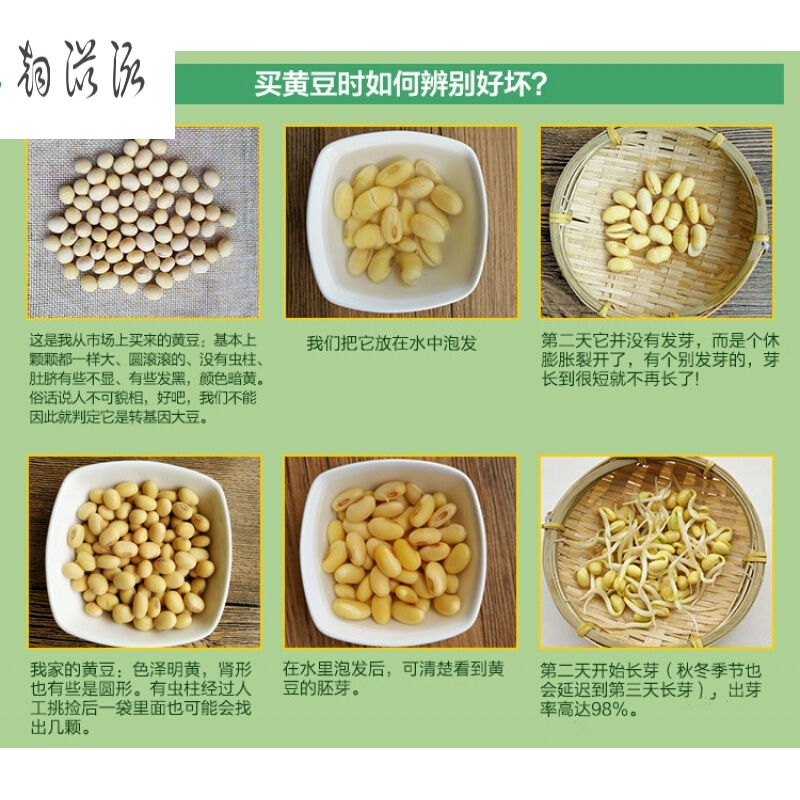 黄豆5斤五谷杂粮农家自种发芽大豆大黄豆打豆浆专用