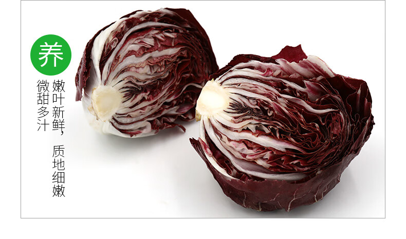 【顺丰】落地红球生菜1000g 红菊苣紫苣新鲜蔬菜沙拉食材