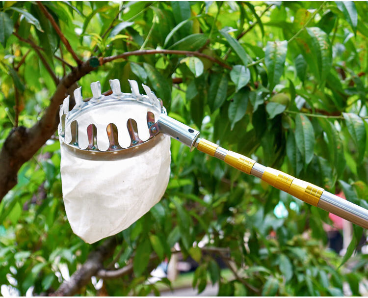 不锈钢摘果器采摘神器多功能伸缩杆高空采果器摘各种水果槐花香椿摘头
