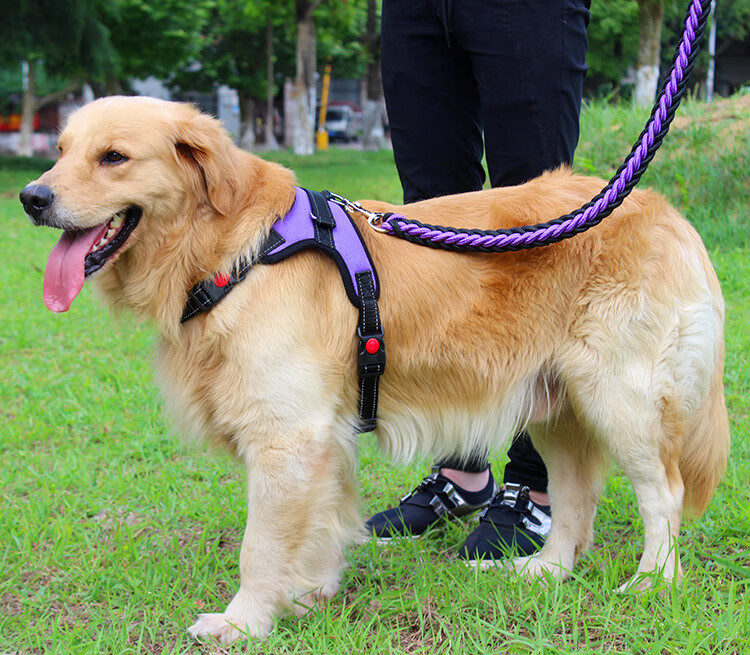 中大型狗链子 狗狗牵引绳背心式胸背带中型大型犬柯基遛狗绳拉布拉多