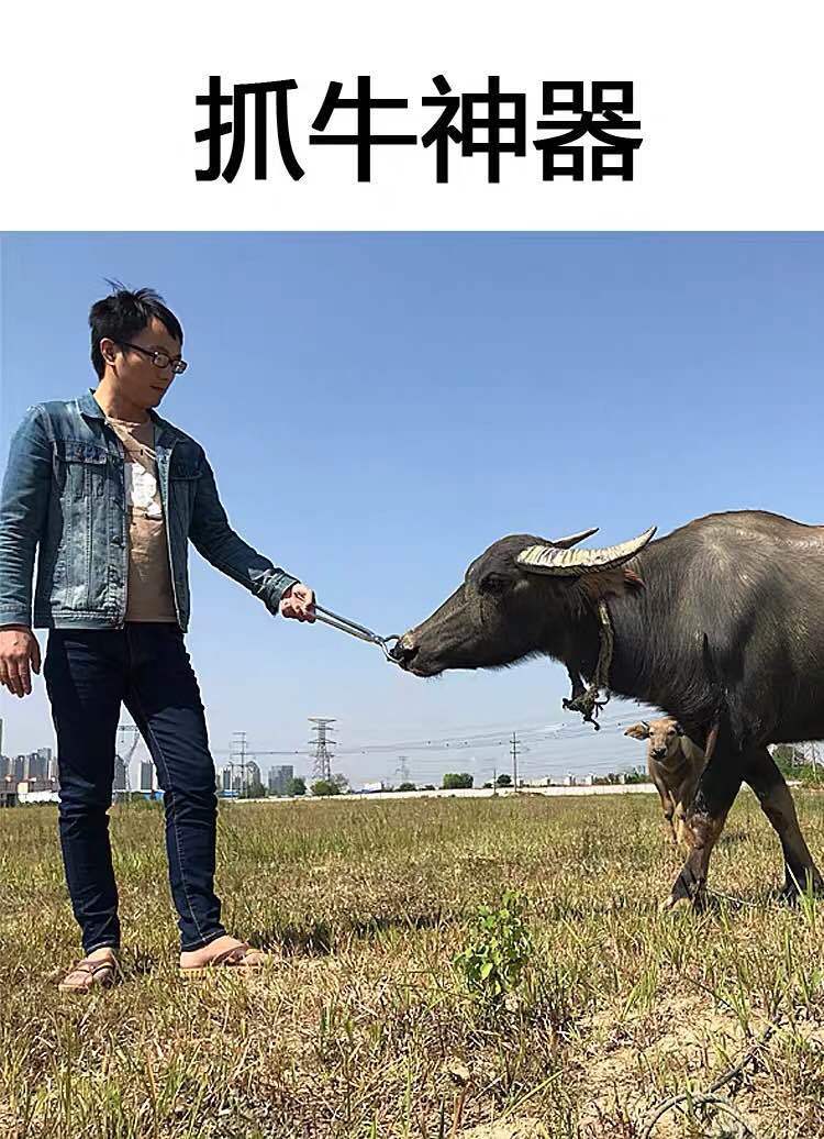 仕良牛鼻钳牛鼻环牛鼻圈牛鼻穿孔钳牛鼻钳子夹牛鼻夹