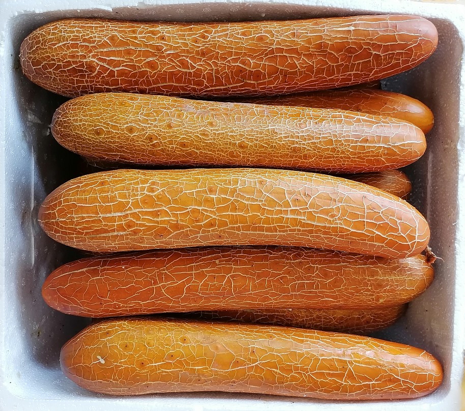 5斤新鲜湖北老黄瓜 开胃酸黄瓜汤 麻皮老黄瓜种 5斤