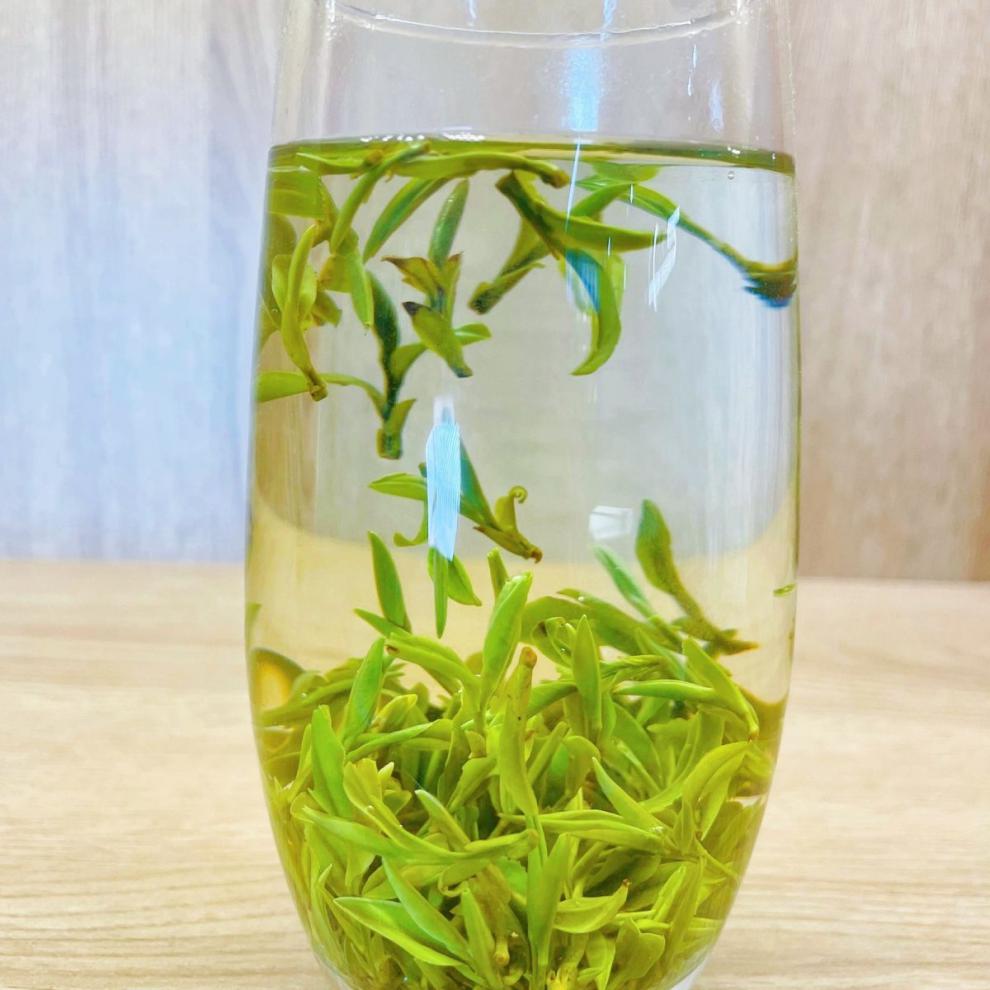 2022新茶绿杨春扬州特产绿茶明前特级a5绿扬春250g茶厂直销a4明前特级