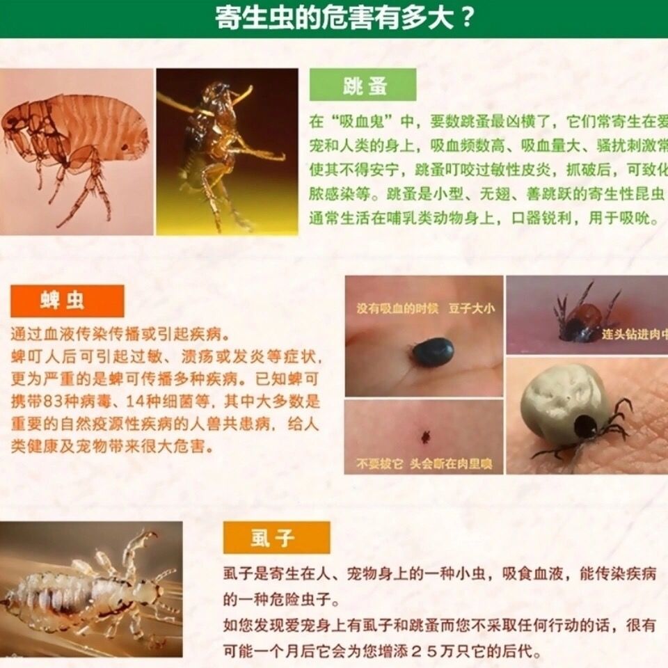 灭虫宁滴剂-a型 10支装【图片 价格 品牌 报价】-京东