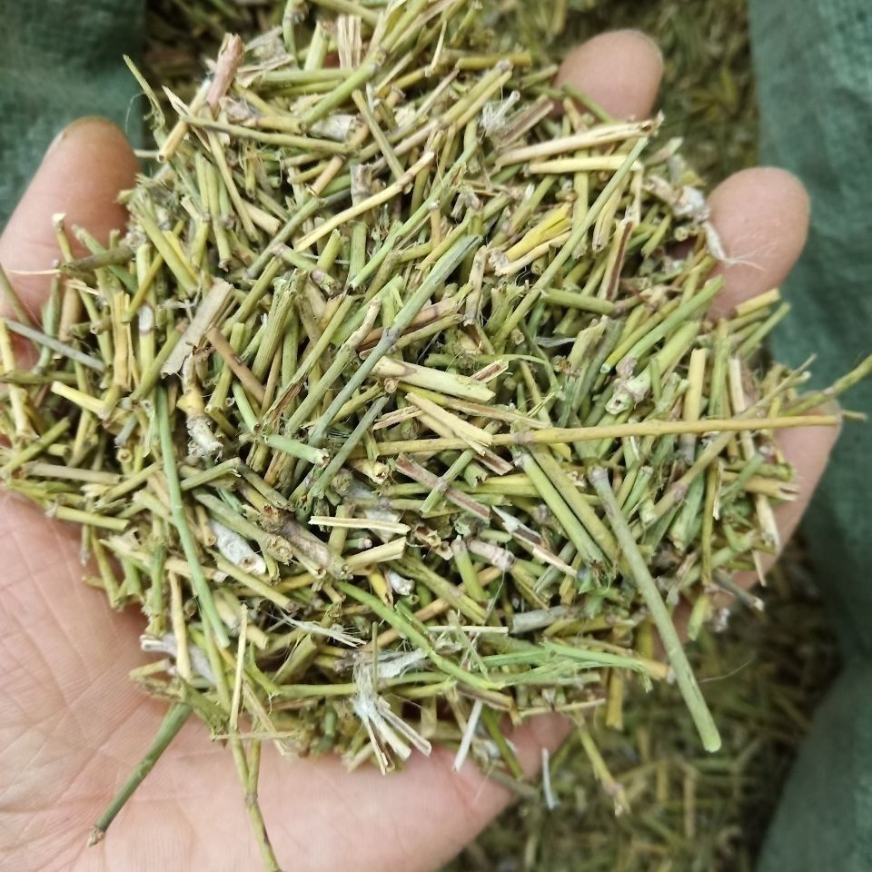 中药材麻黄根苦椿菜止汗色道麻结力根麻黄根披发生麻黄100克