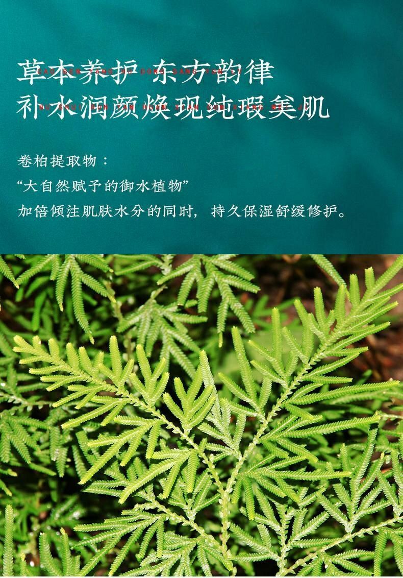 【官方】梵飞丝复活草焕颜修护七件套装面部护理套盒