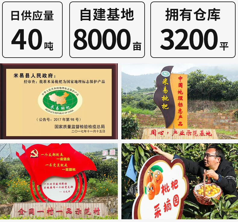 d35fd3d84c818331.jpg
