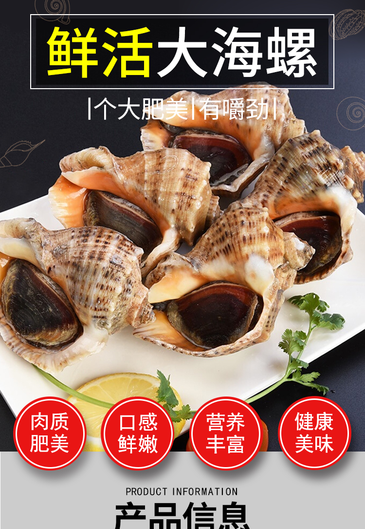 活鲜乐食港鲜活大海螺螺类小海螺海鲜水产大海螺1斤35只