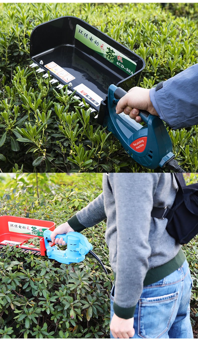 藤原电动采茶机便携式茶叶采摘工具单人充电式茶树茶叶采摘机 无刷