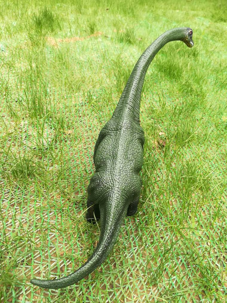 特超大号蜥脚类腕龙恐龙无味塑胶马门溪龙18点5cm绿色腕龙蓝色霸王龙