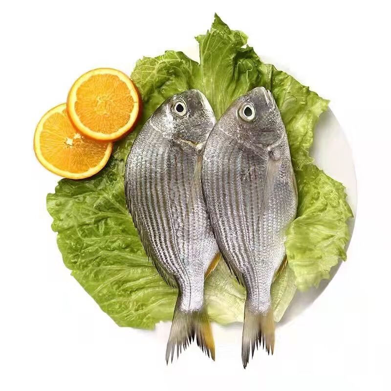 斓维品 黄翅鱼黄立鱼新鲜海捕海鲜水产活冻黄翅 黄翅鱼3斤共3条【图片