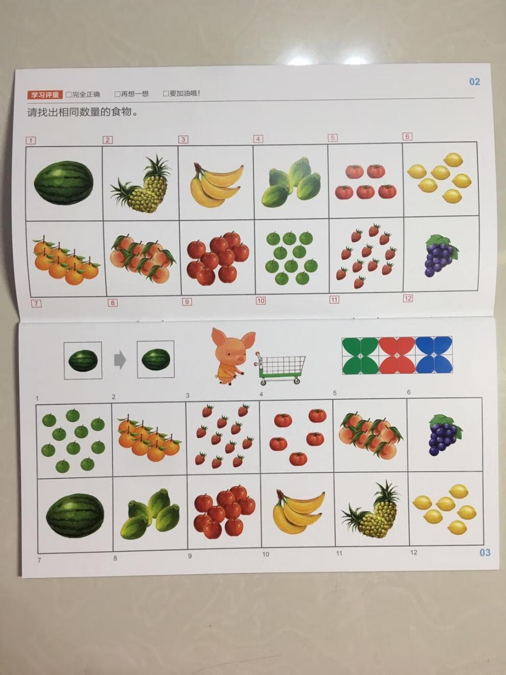 逻辑高教材幼儿园小康轩幼儿园教材逻辑高小康轩逻辑高翻翻板全套提升