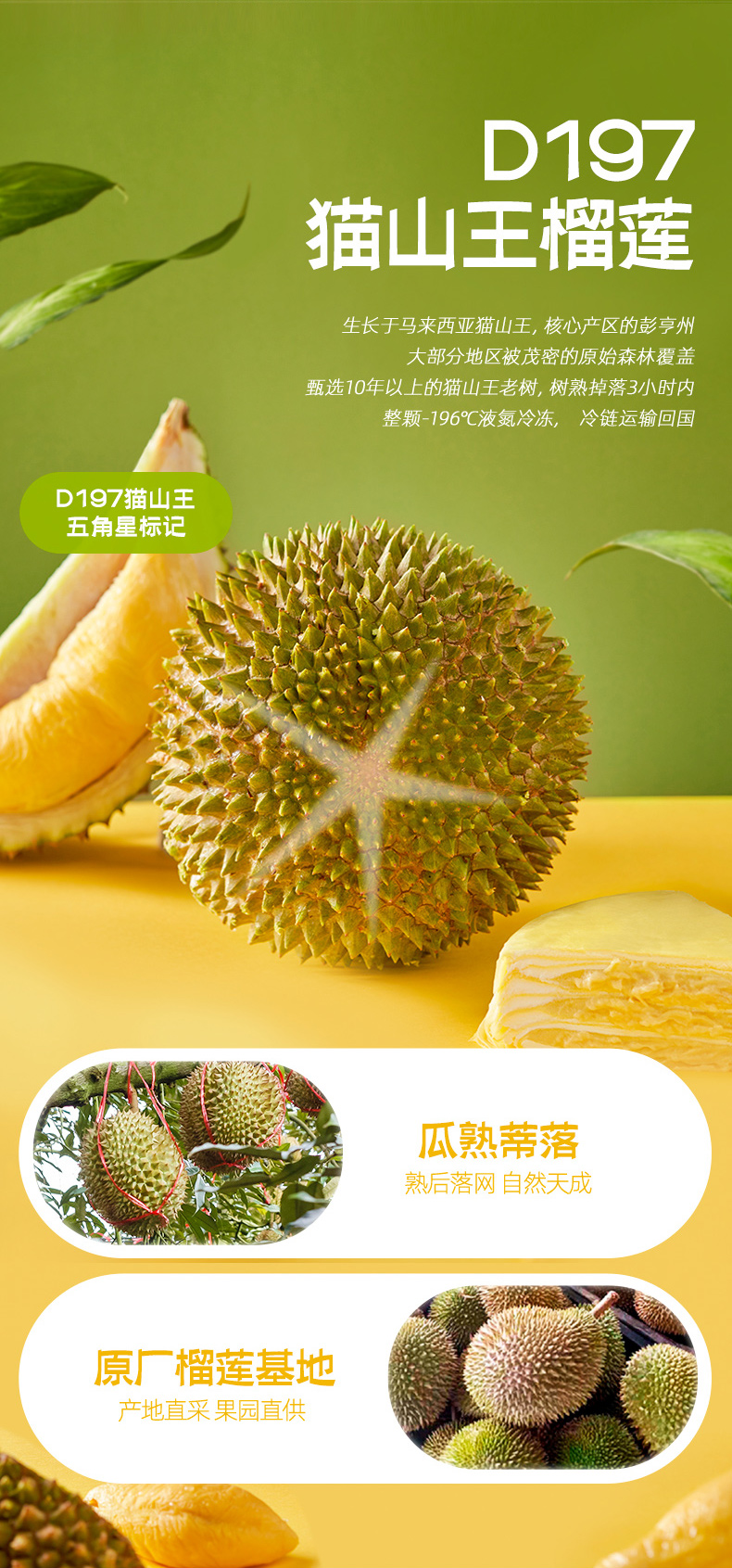 榴莲冰粽子榴芒一刻猫山王58g8枚端午节礼盒水晶粽甜粽子