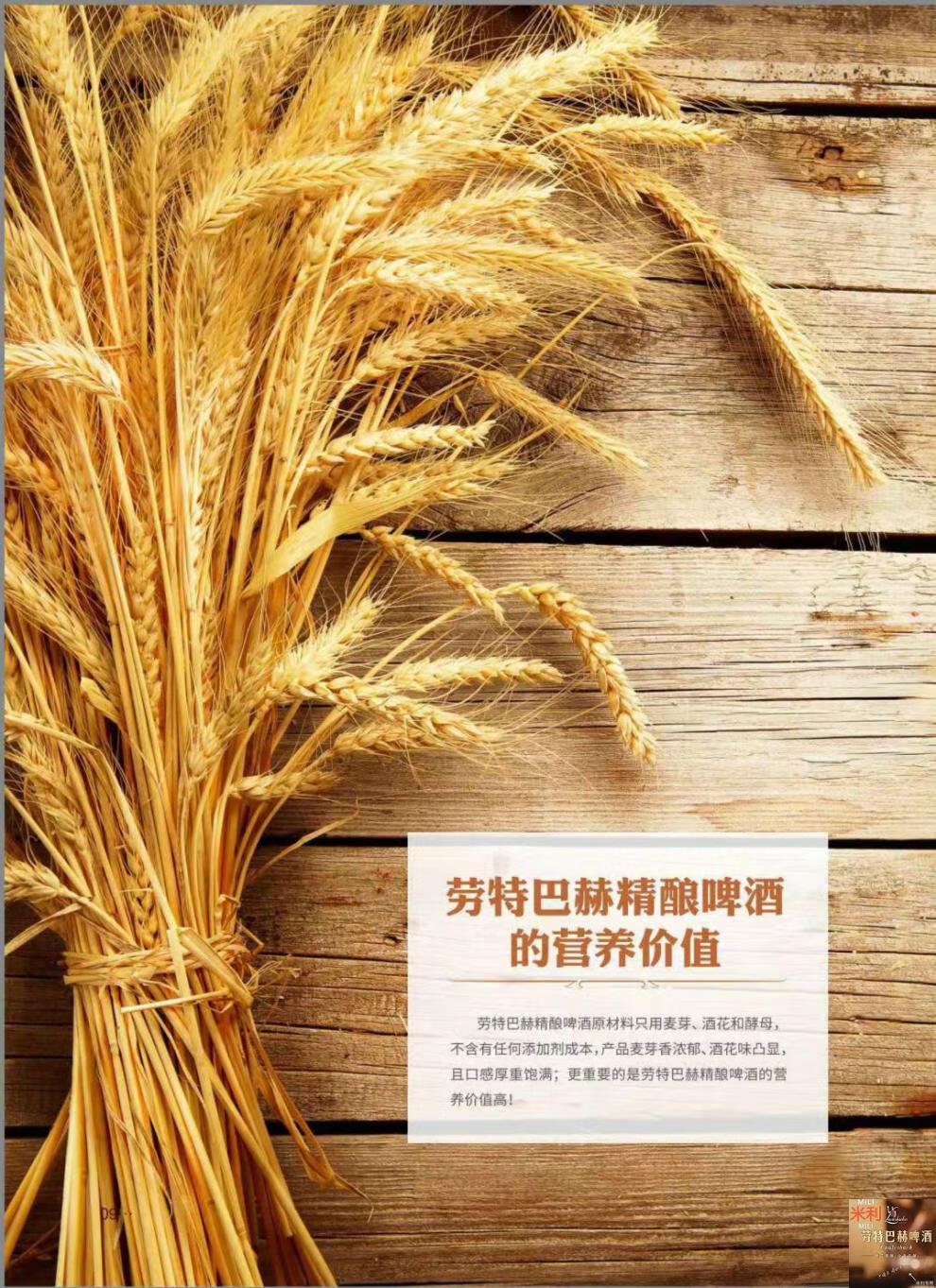 劳特巴赫啤酒 2l*2桶 典藏700精酿 原浆全麦双酵母啤酒中德合作 2l*2