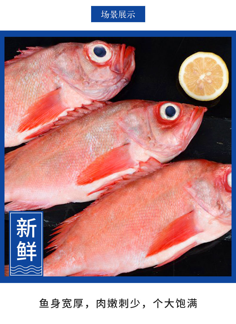 红石斑鱼10斤整条鲜活速冻深海大眼鱼富贵鱼大龙胆鱼海鲜水产5斤装